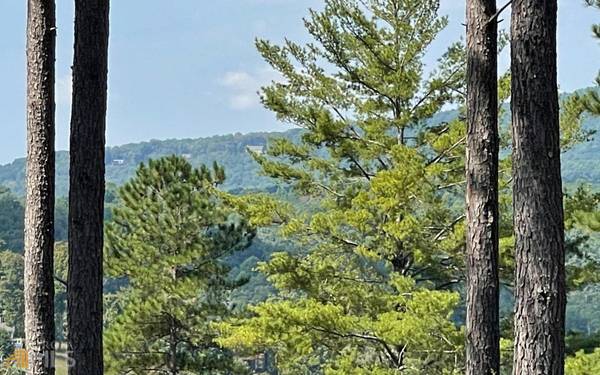 LOT 268 Thirteen Hundred, Blairsville, GA 30512