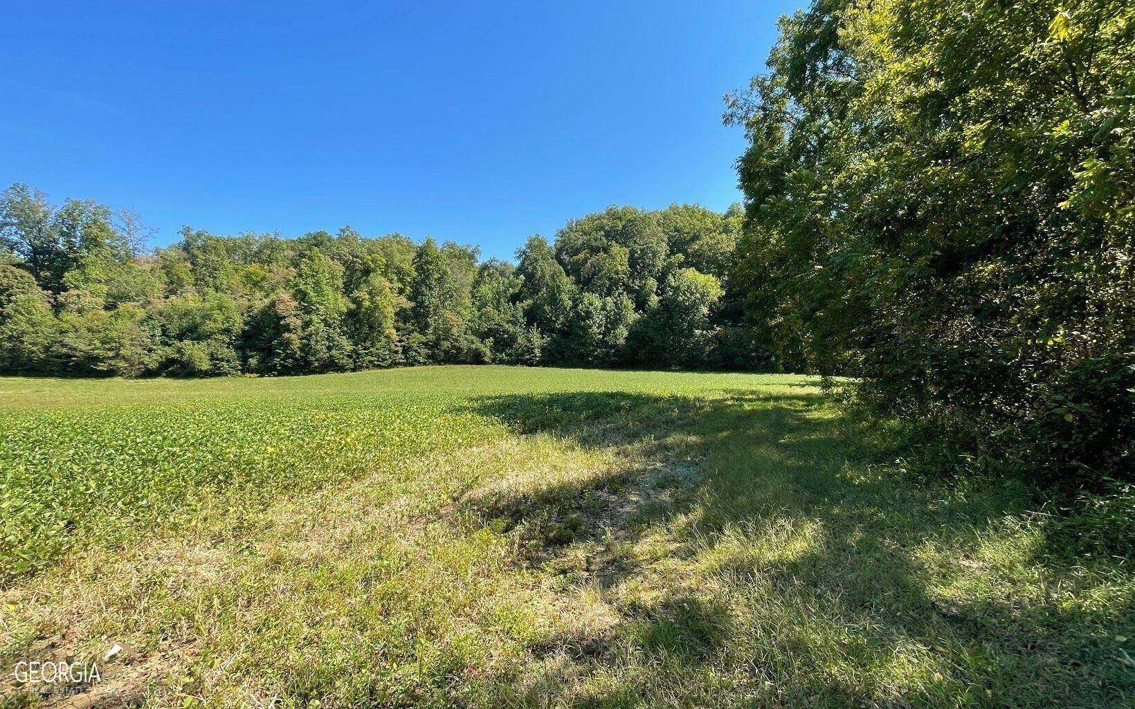 Hayesville, NC 28904,37+ ACRES Jarrett Road RD