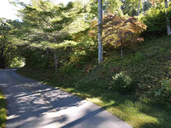 Hiawassee, GA 30546,# 4 Ramey Mountain RD