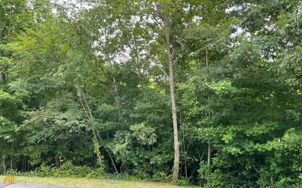 LOT 21 Dan Knob,  Hayesville,  NC 28904