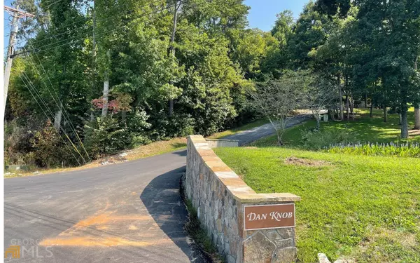 Hayesville, NC 28904,LOT 21 Dan Knob