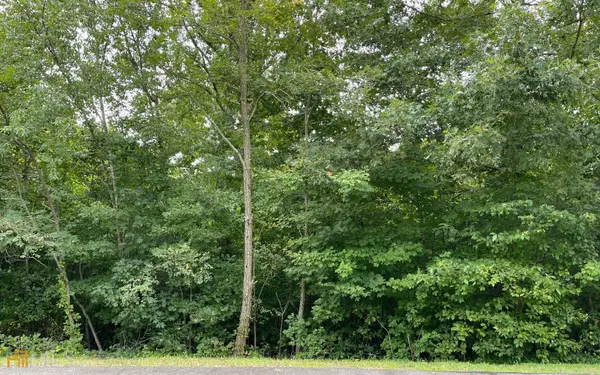 Hayesville, NC 28904,LOT 21 Dan Knob