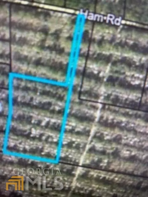 Nahunta, GA 31553,LOT 5 Ham RD