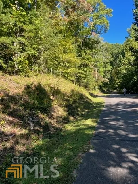 Hiawassee, GA 30546,LOT 6 Covered Bridge