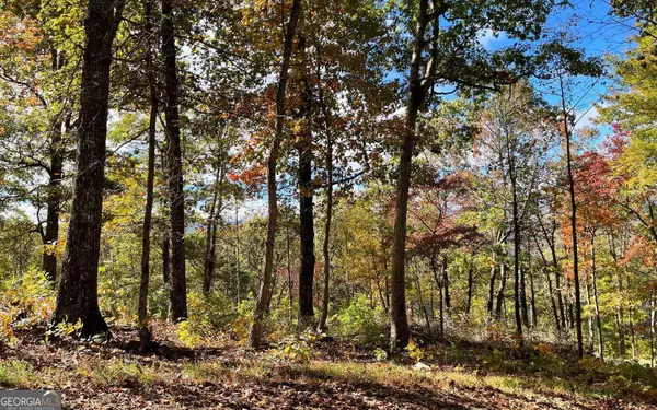 Young Harris, GA 30582,LOT 18 Harris Ridge RD