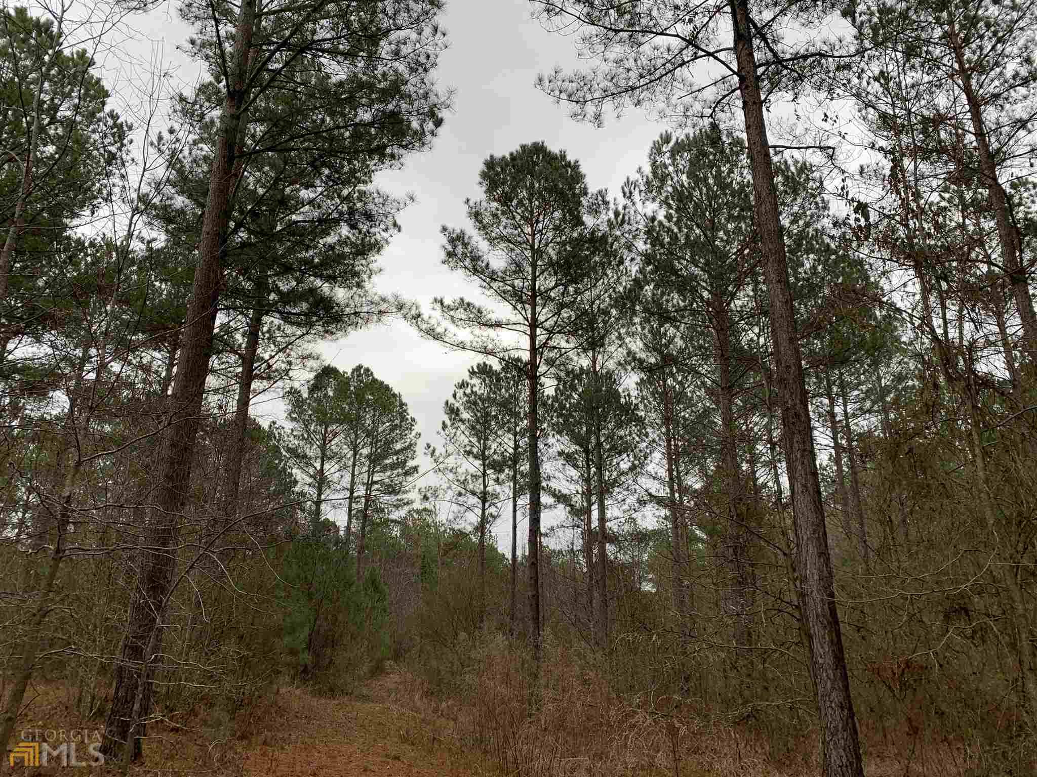 0 Tenney Nelson RD #331 AC, Grantville, GA 30220