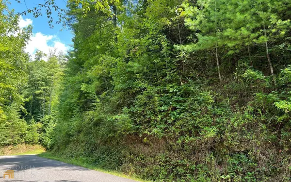 Hayesville, NC 28904,LOT 76 Fires Creek CV