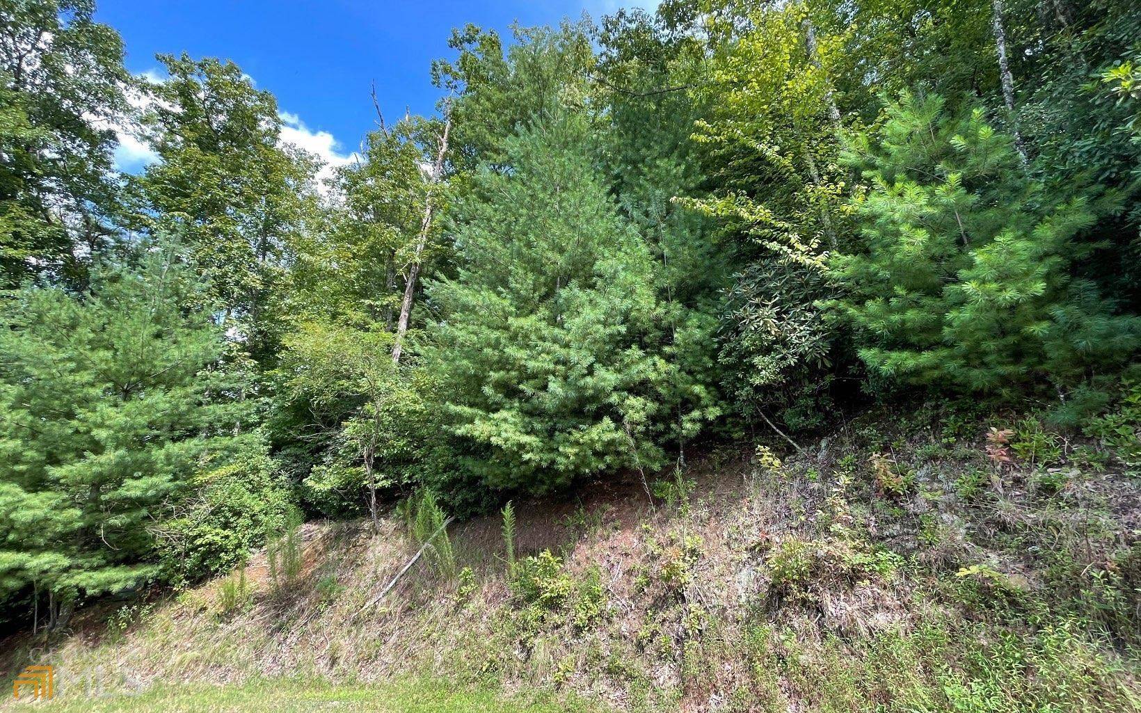 Hayesville, NC 28904,LOT 73 Fires Creek CV