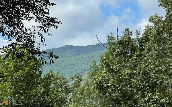 LOT 73 Fires Creek CV, Hayesville, NC 28904