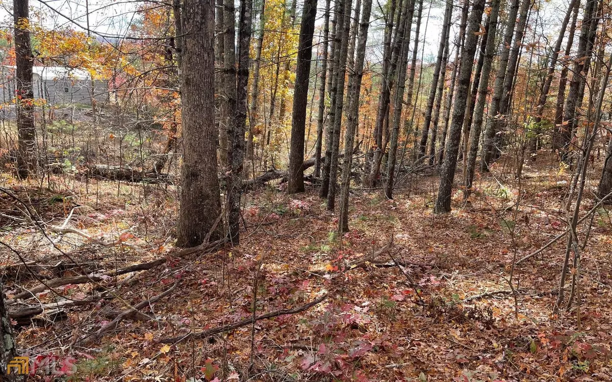 Brasstown, NC 28902,1 ACRE Off Weber WAY