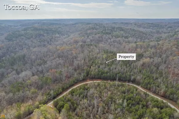 Toccoa, GA 30577,63.36 ACRES Wards Creek RD