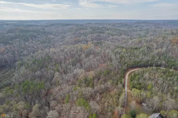 Toccoa, GA 30577,63.36 ACRES Wards Creek RD