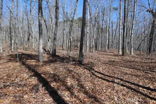 Cloudland, GA 30731,0 Highway 157