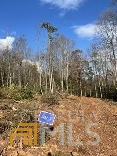 LOT 3 Kathryn, Commerce, GA 30530