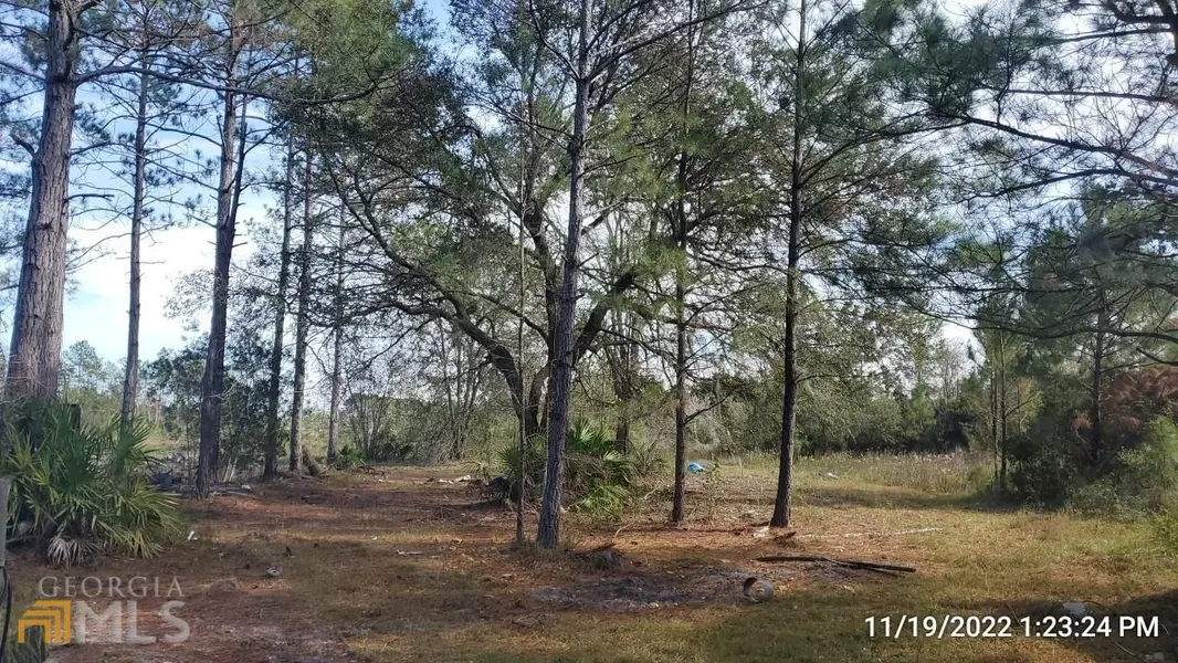 3754 River Rd, Folkston, GA 31537