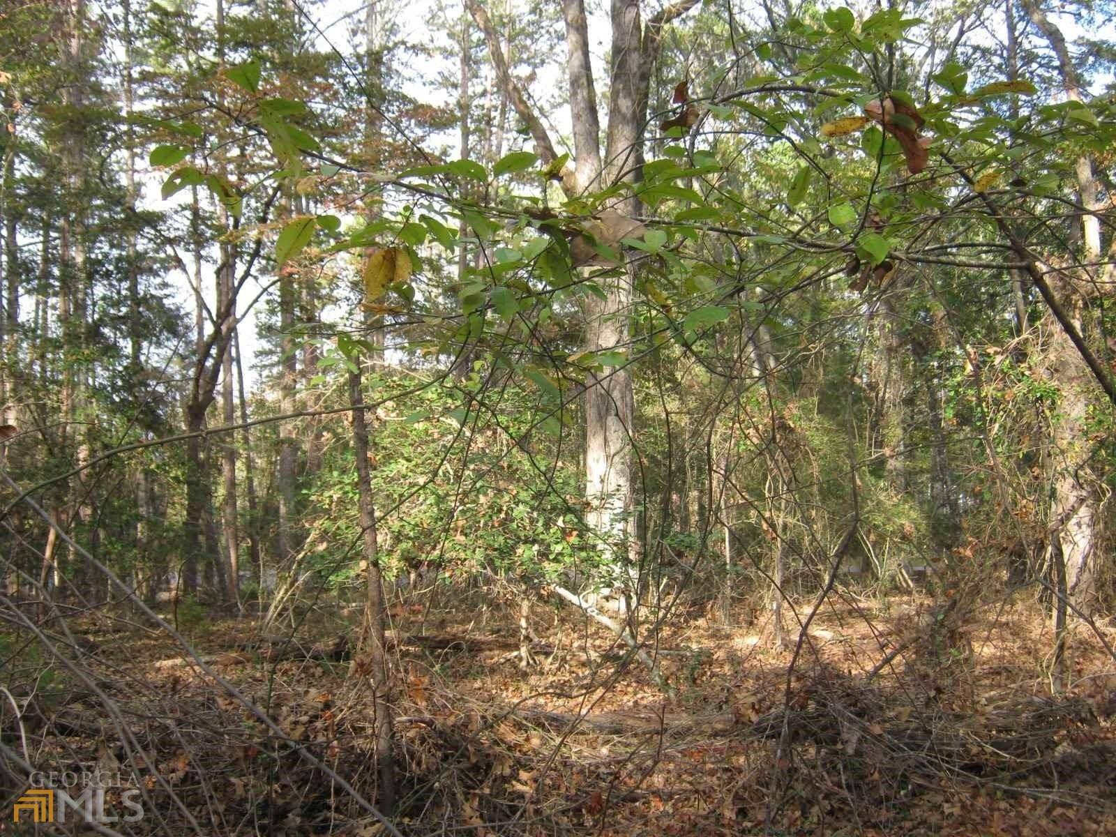 Lavonia, GA 30553,LOT 7 Poplar Springs RD