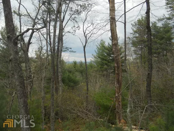 Lakemont, GA 30552,0 Brenary LN #13