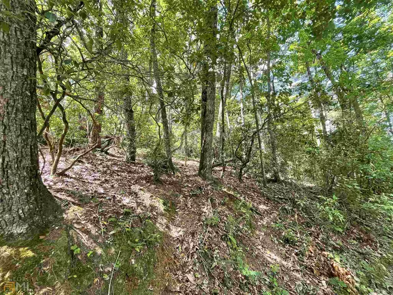 0 Beechwood DR #6, Cleveland, GA 30528