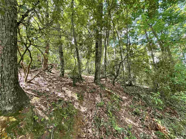 Cleveland, GA 30528,0 Beechwood DR #6