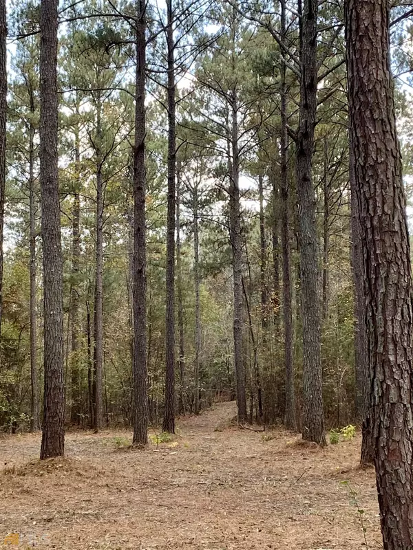 Senoia, GA 30276,10 ACRES Bertus Hunter RD