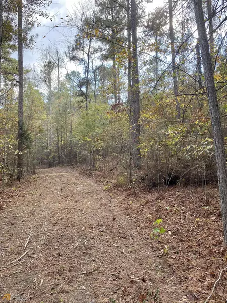10 ACRES Bertus Hunter RD, Senoia, GA 30276