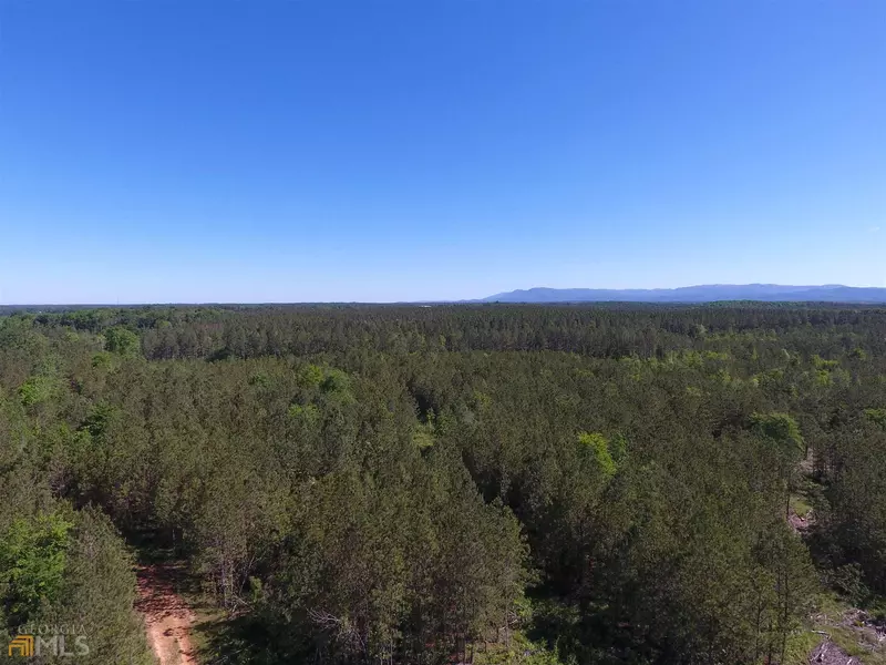 0 NE Nesbitt Loop RD #9633- EAST, Resaca, GA 30735