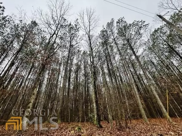 Whitesburg, GA 30185,1AC Guthrie