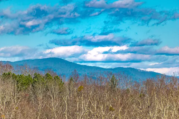 5AC Doll Mountain, Ellijay, GA 30540