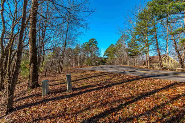 Ellijay, GA 30540,5AC Doll Mountain