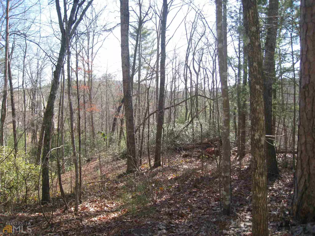 Lakemont, GA 30552,0 Deer Haven TRL #LOT 10