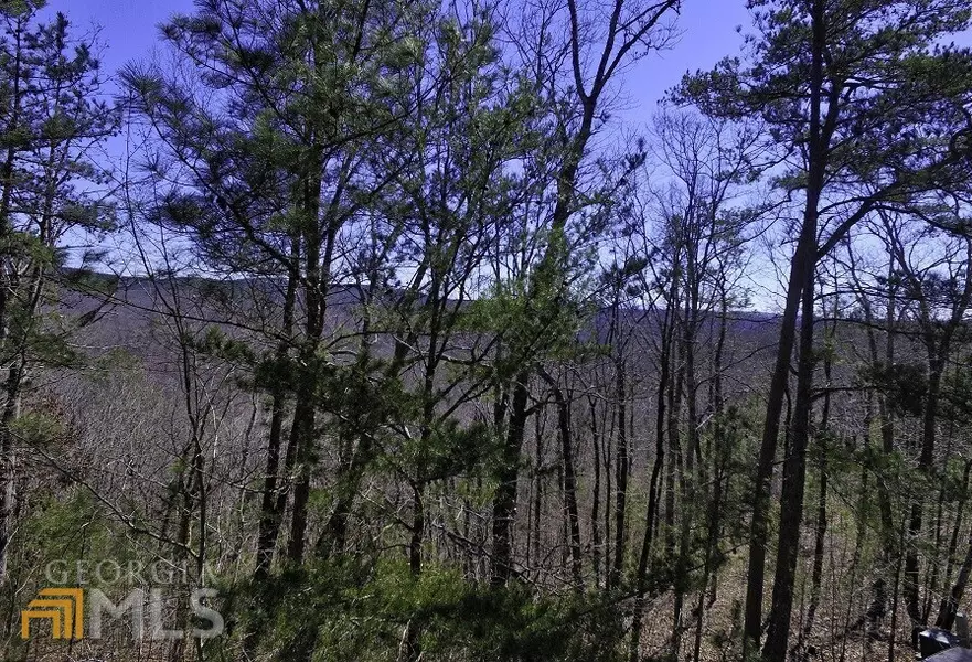 0 Doll Mountain, Ellijay, GA 30540