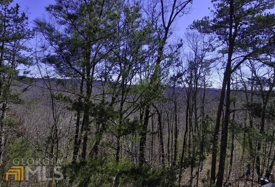 Ellijay, GA 30540,0 Doll Mountain