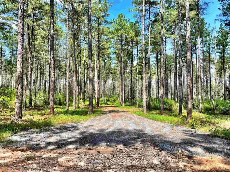 0 Perkins RD, Barnesville, GA 30204