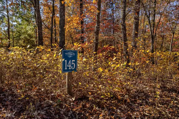 Ellijay, GA 30540,LOT 145 Foxglove