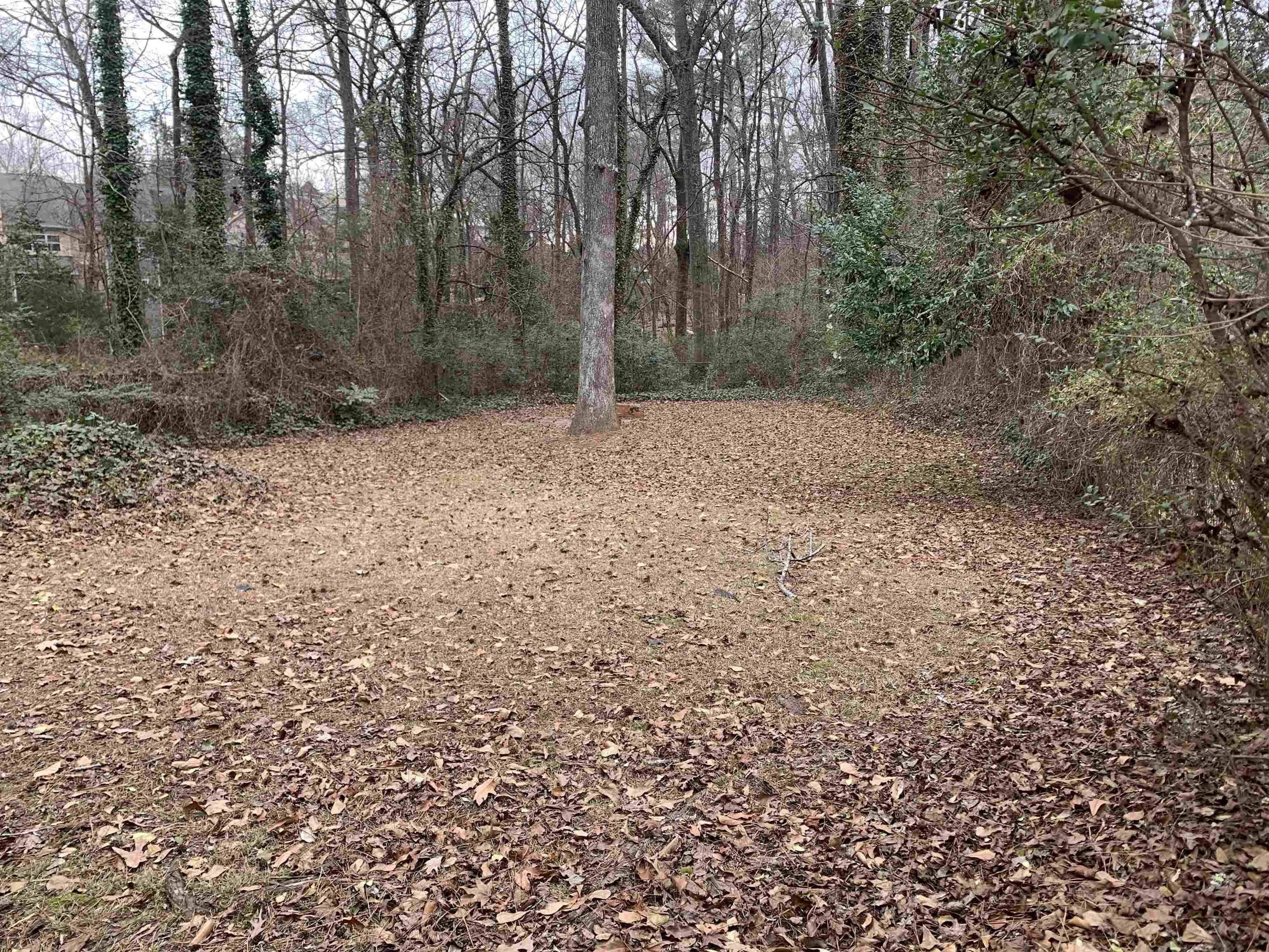 Decatur, GA 30032,529 Summit DR