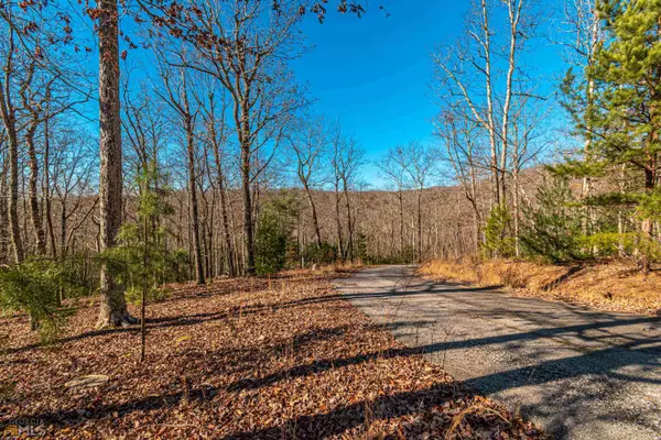 1.82AC Chickadee Road, Morganton, GA 30560