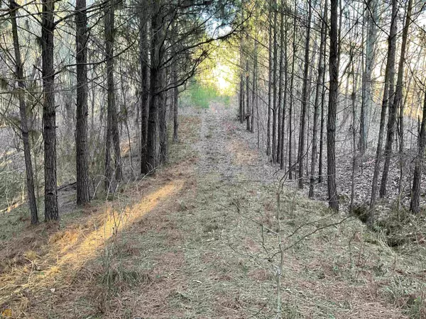 0 Anna Claire Ct Lot 18, Monticello, GA 31064