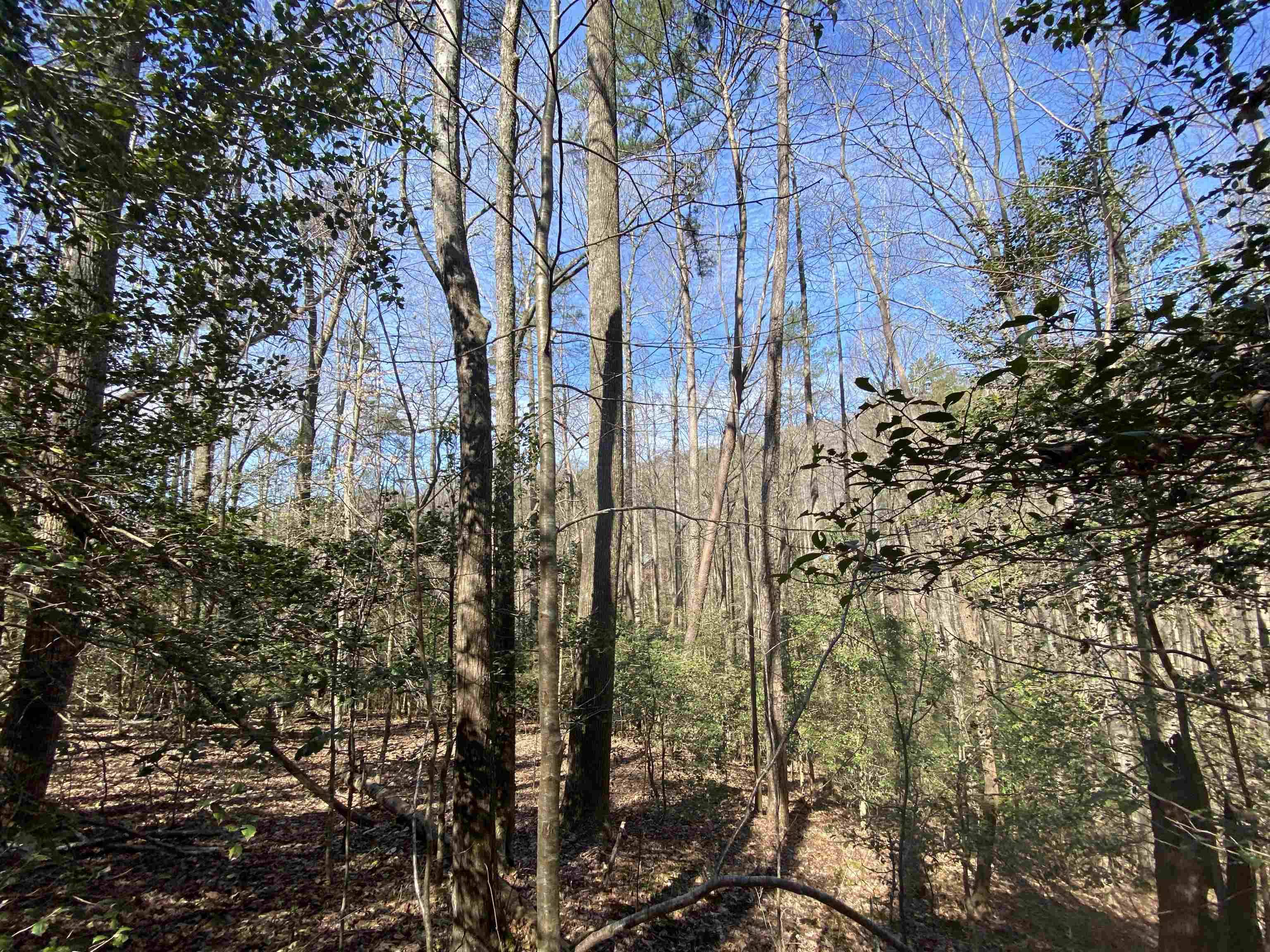 Cherry Log, GA 30522,0 Chimney Rock RD ##463R