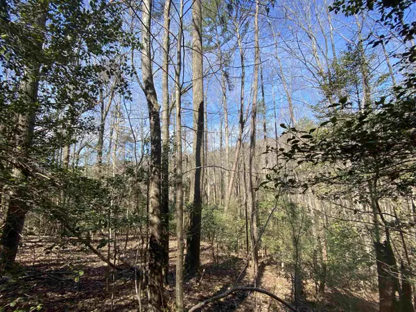 Cherry Log, GA 30522,0 Chimney Rock