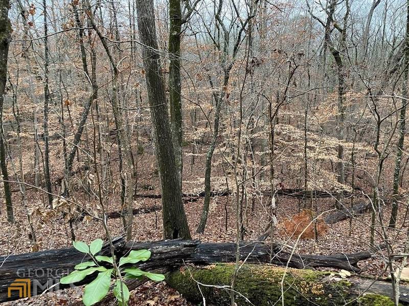 LOT 10, 11 Cedar DR, Pine Mountain, GA 31822