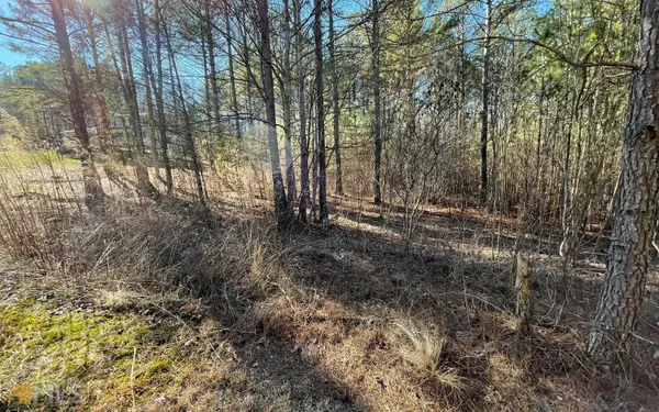 Blairsville, GA 30512,LOT 42 Loftis Mountain