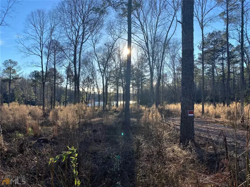 LOT 8 Hannah's Mill Road, Thomaston, GA 30286