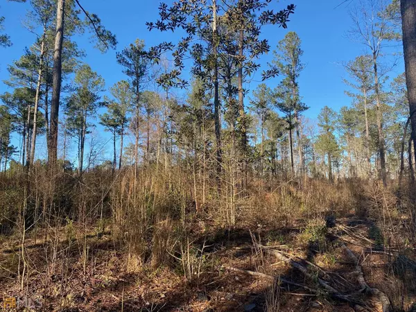 Thomaston, GA 30286,LOT 8 Hannah's Mill Road