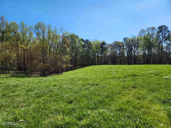 Roopville, GA 30170,0 Whitton RD