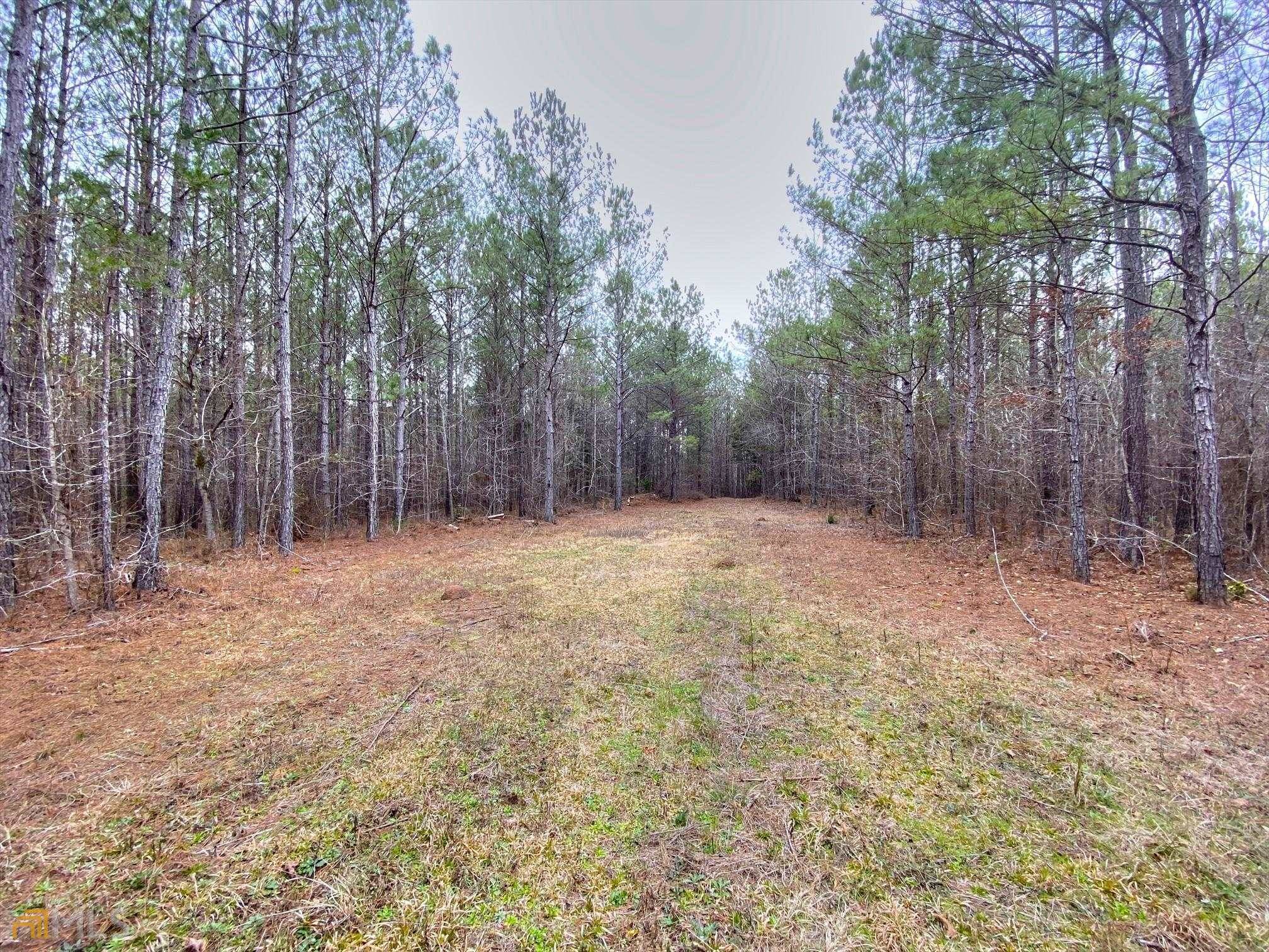 Hogansville, GA 30230,0 Youngs Mill RD