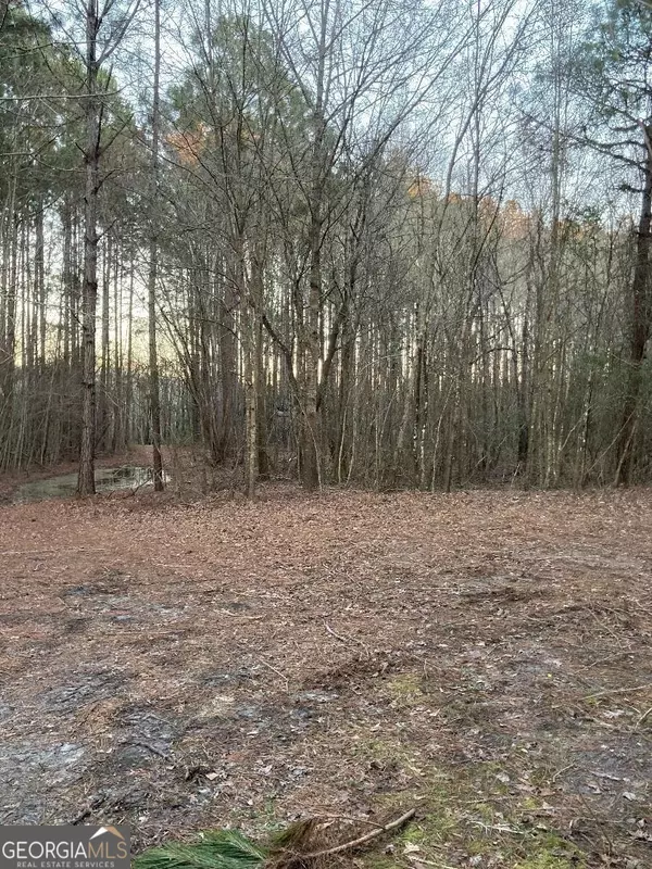 Portal, GA 30450,0 Lake Collins RD