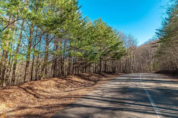 Ellijay, GA 30536,4.03AC St Andrews