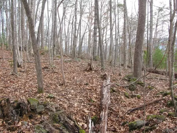 Hiawassee, GA 30546,0 Bradshaw & Barnett RD