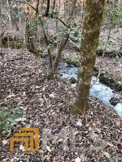 Dahlonega, GA 30533,LOT 5 Still RD