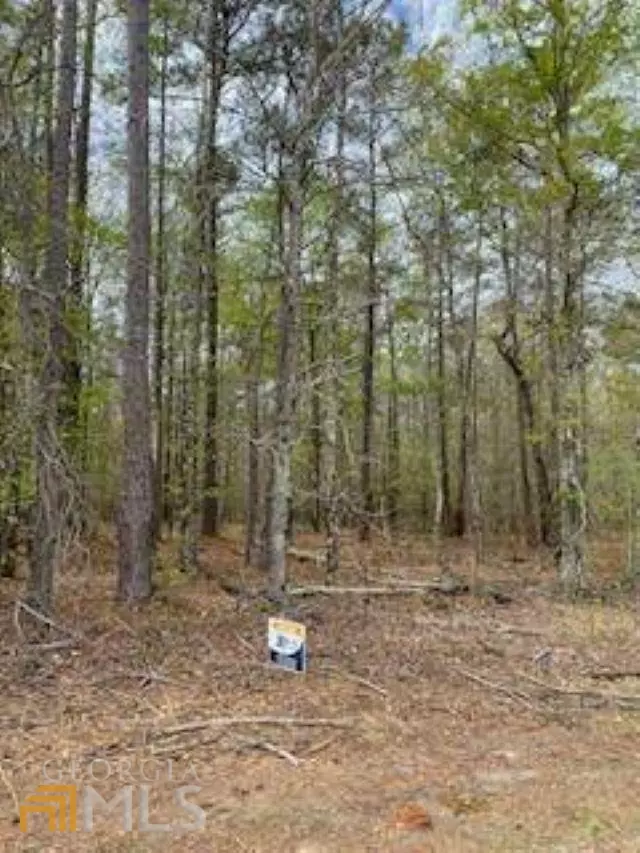 Milledgeville, GA 31061,136 Stewart DR